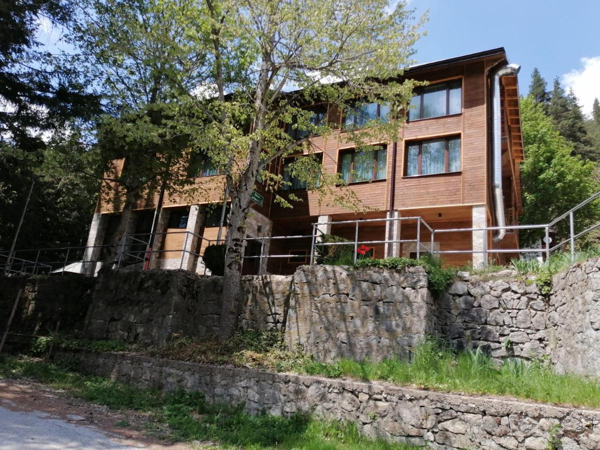 Вила Добро Поле Blagoevgrad Bagian luar foto